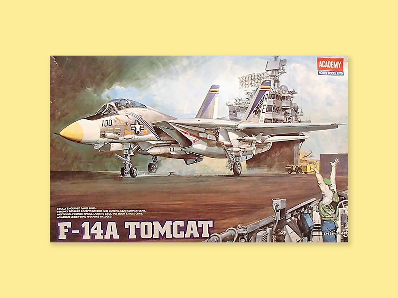 Grumman F-14A "Tomcat"