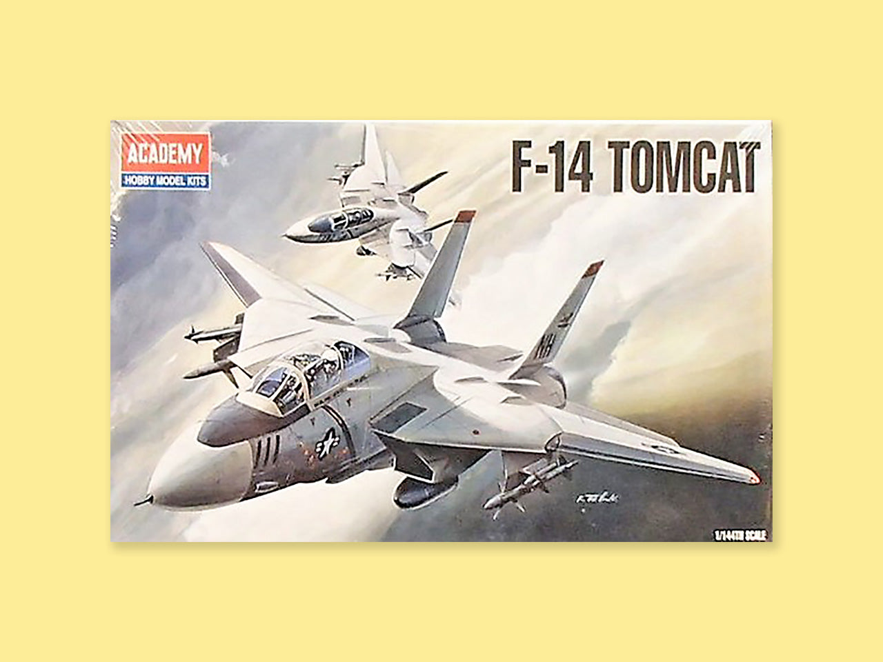 Grumman F-14 "Tomcat"