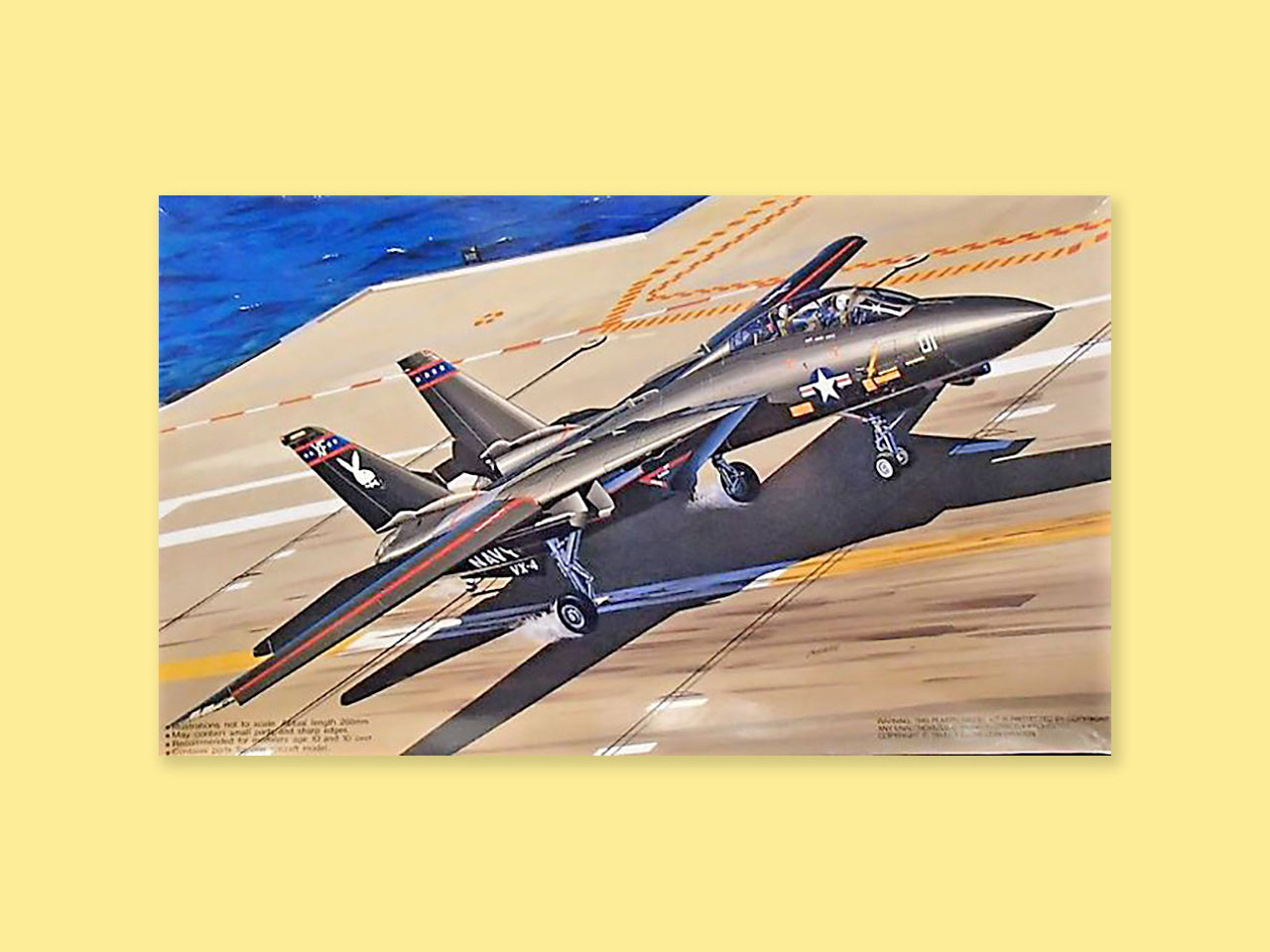 Grumman F-14A "Tomcat"