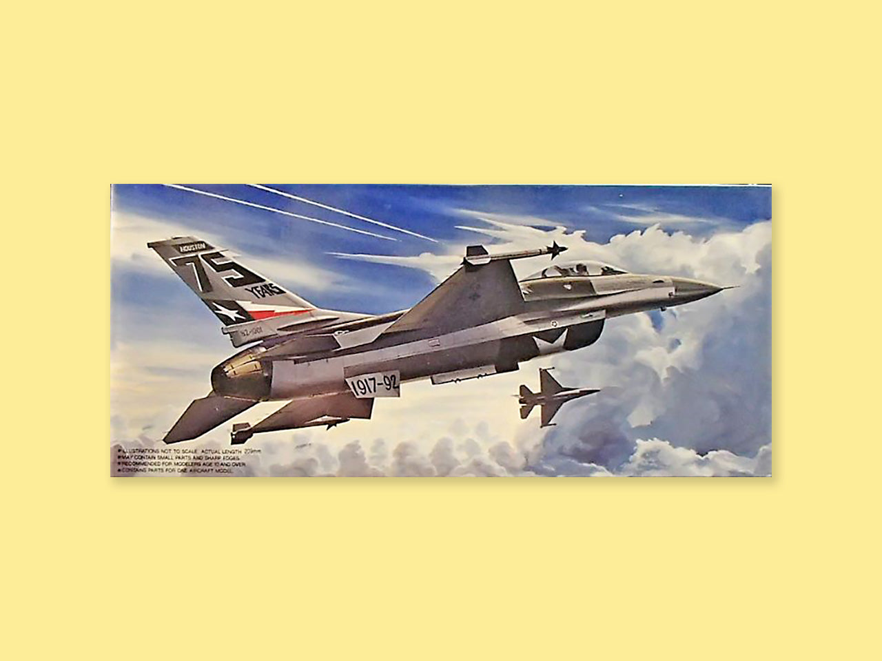 General Dynamics F-16ADF