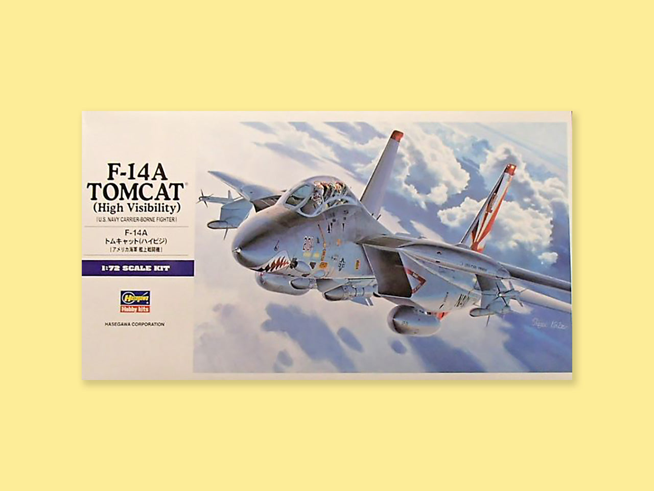 Grumman F-14A "Tomcat"