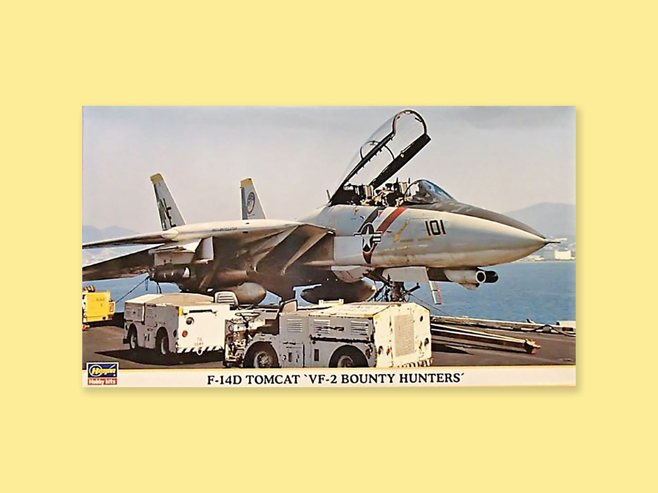 Grumman F-14D "Tomcat"