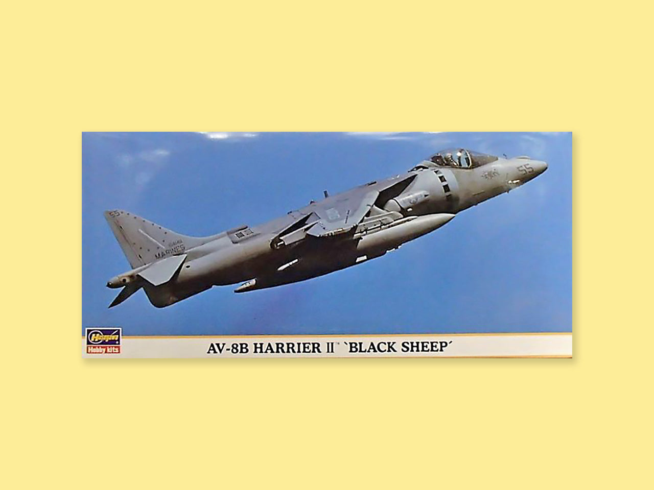 Hawker Siddeley "Harrier AV-8B"