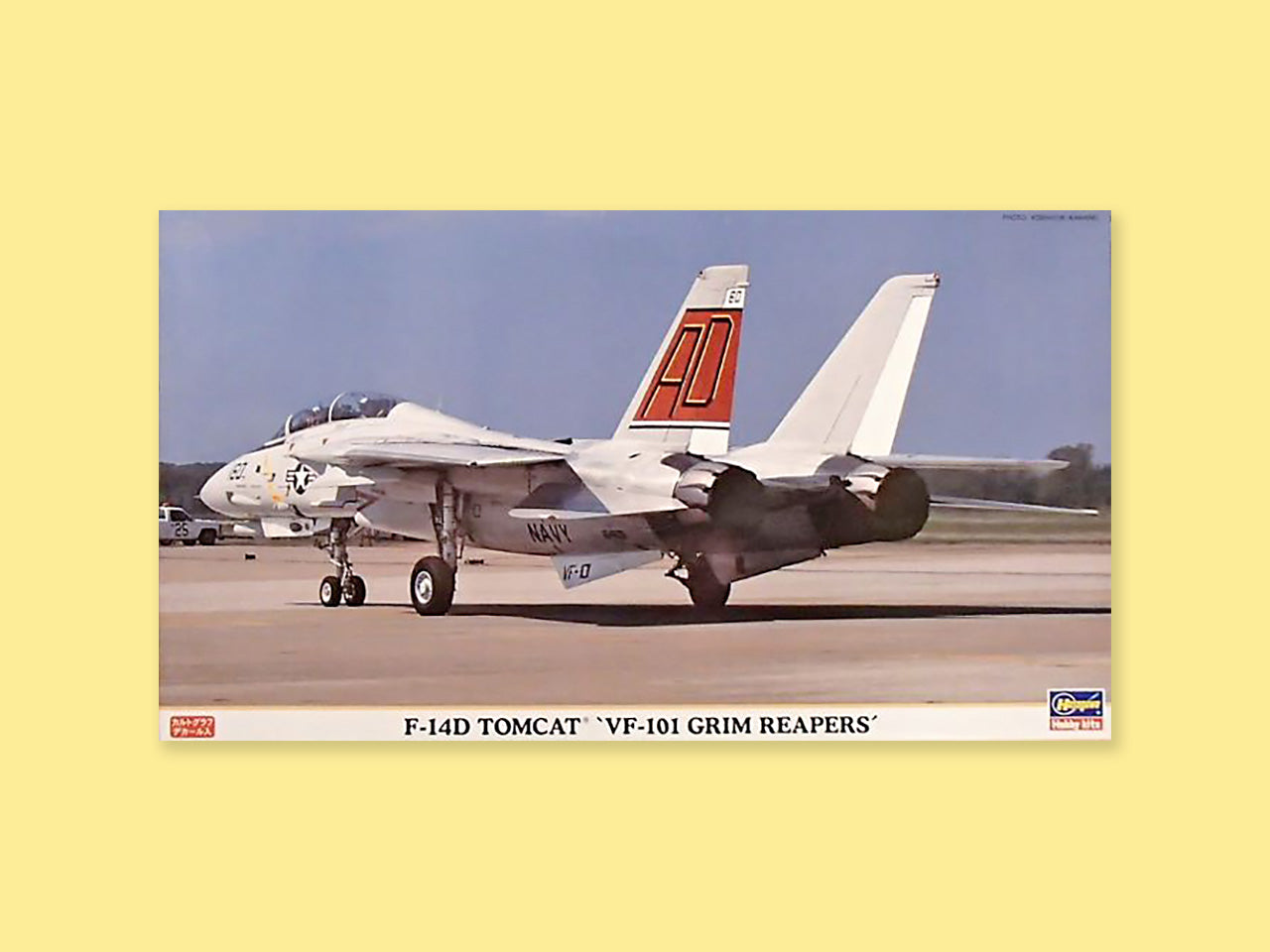Grumman F-14D "Tomcat"