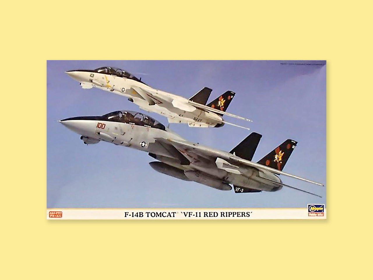 Grumman F-14B "Tomcat"