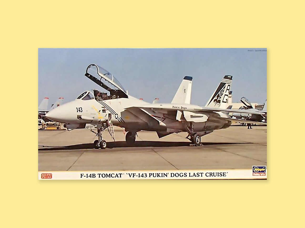 Grumman F-14B "Tomcat"