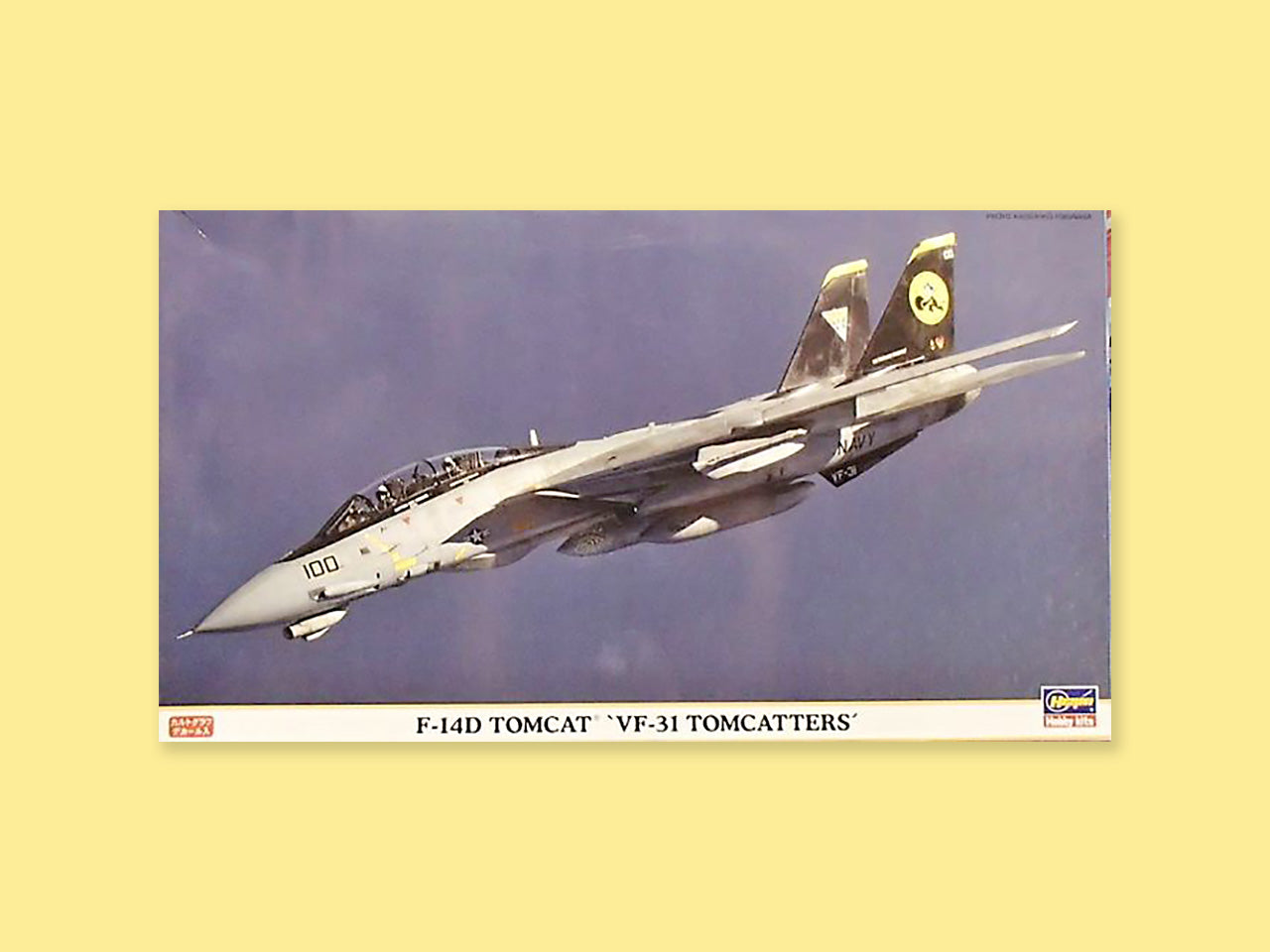 Grumman F-14D "Tomcat"