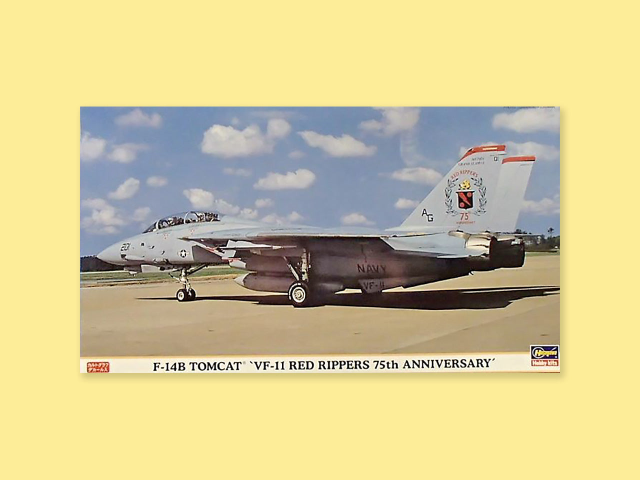 Grumman F-14B "Tomcat"