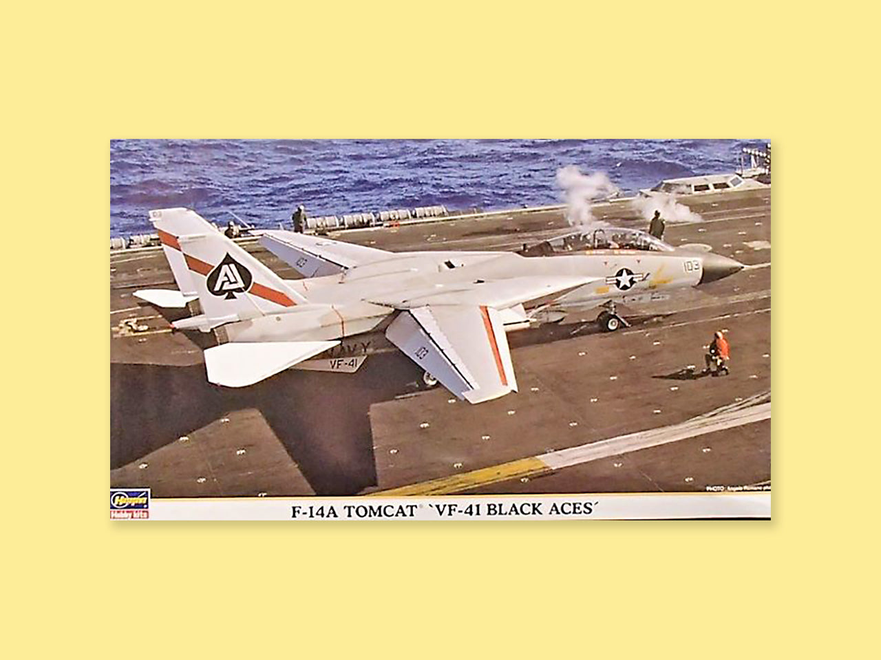 Grumman F-14A "Tomcat"