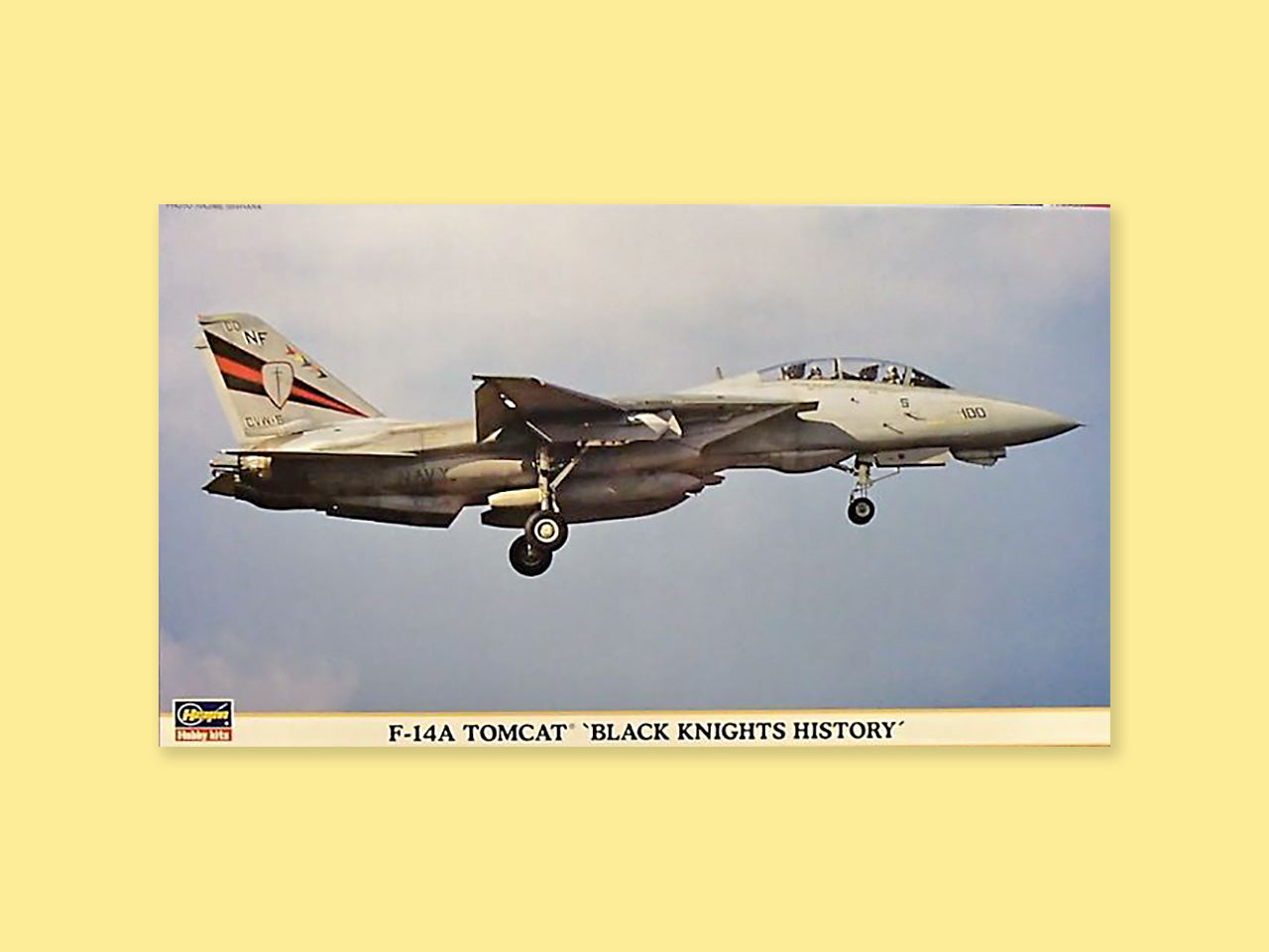 Grumman F-14A "Tomcat"