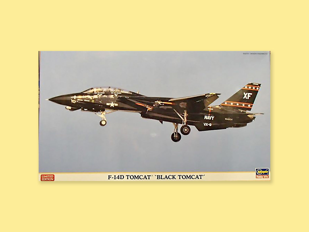 Grumman F-14D "Tomcat"