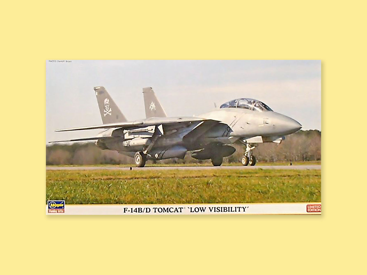 Grumman F-14B/D "Tomcat"