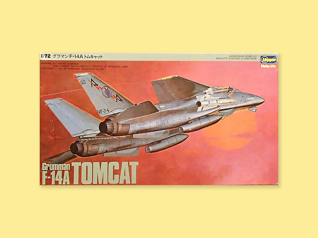 Grumman F-14A "Tomcat"