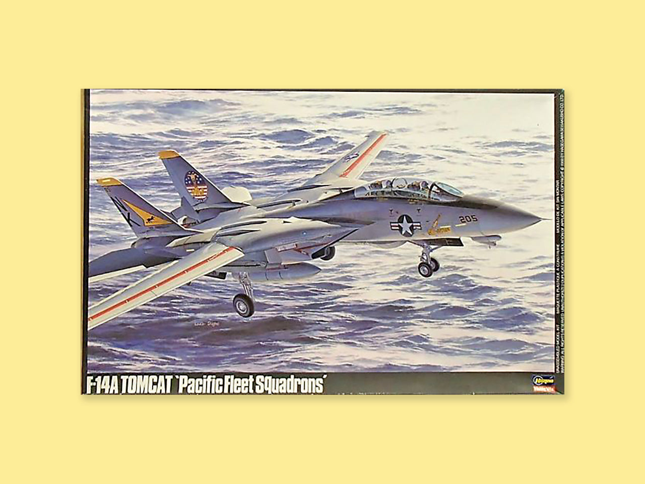 Grumman F-14A "Tomcat"