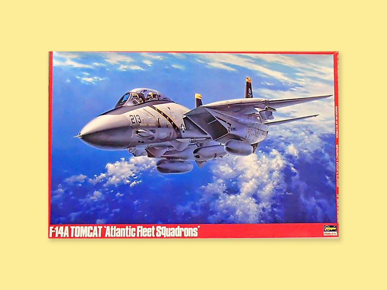 Grumman F-14A "Tomcat"