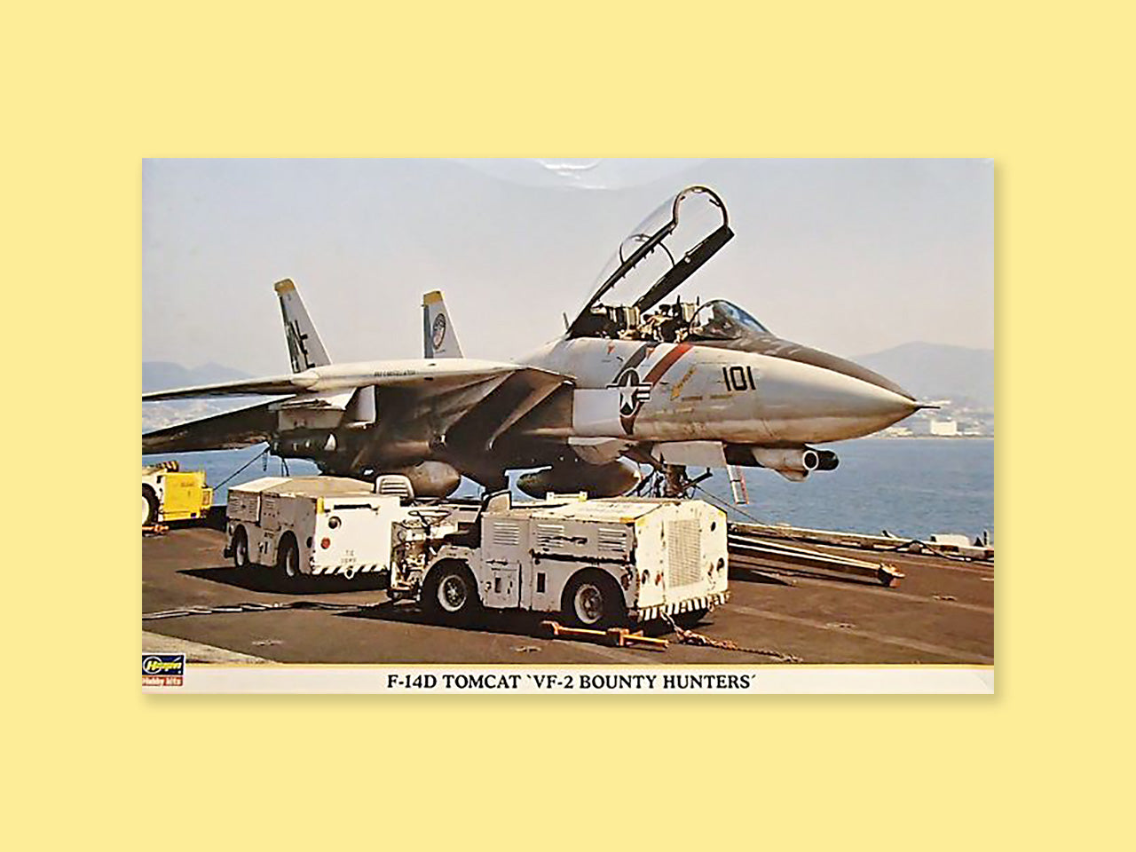 Grumman F-14D "Tomcat"