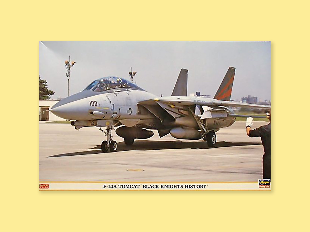 Grumman F-14A "Tomcat"