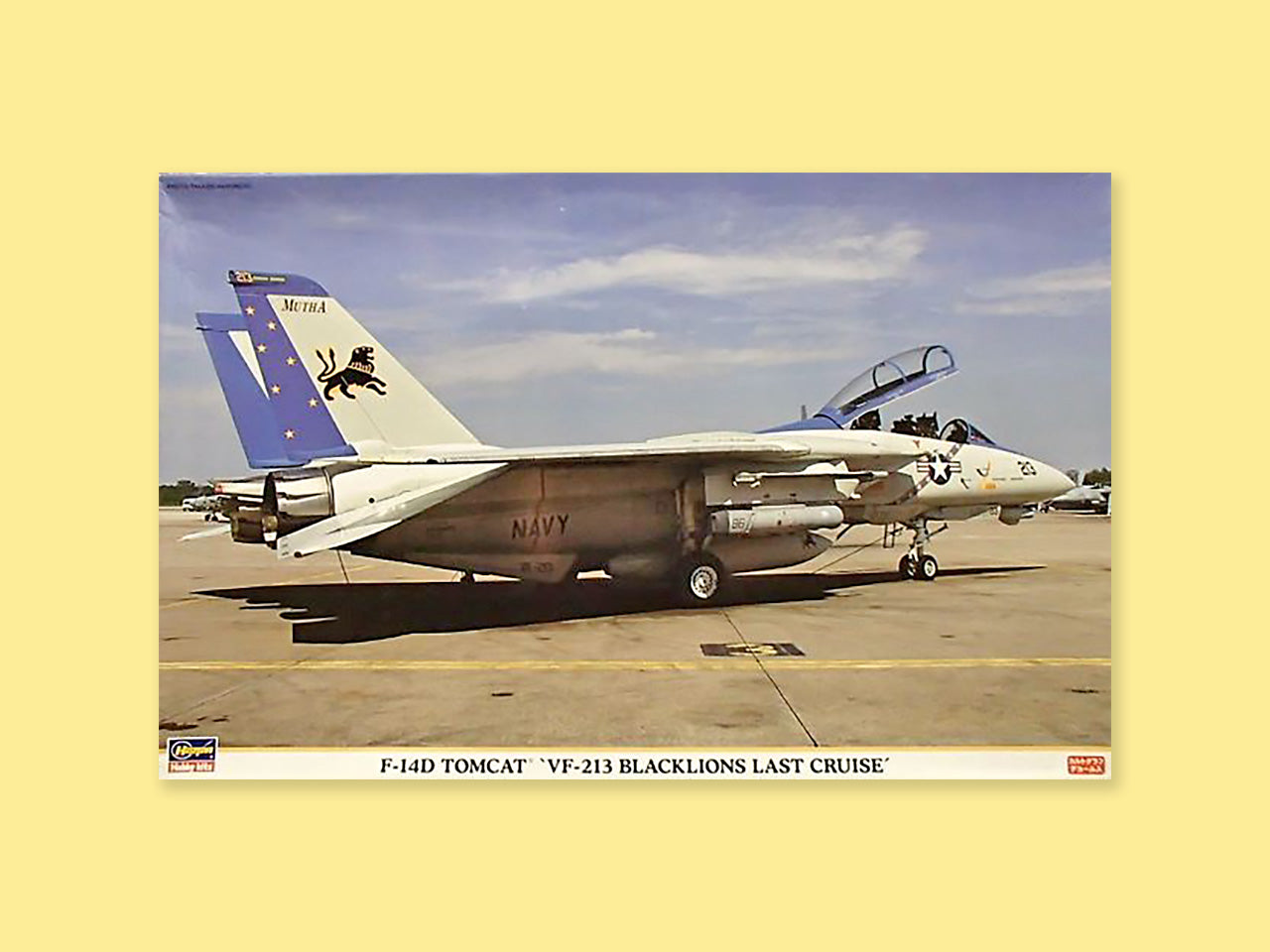 Grumman F-14D "Tomcat"