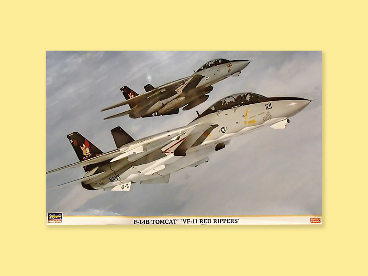 Grumman F-14B "Tomcat"
