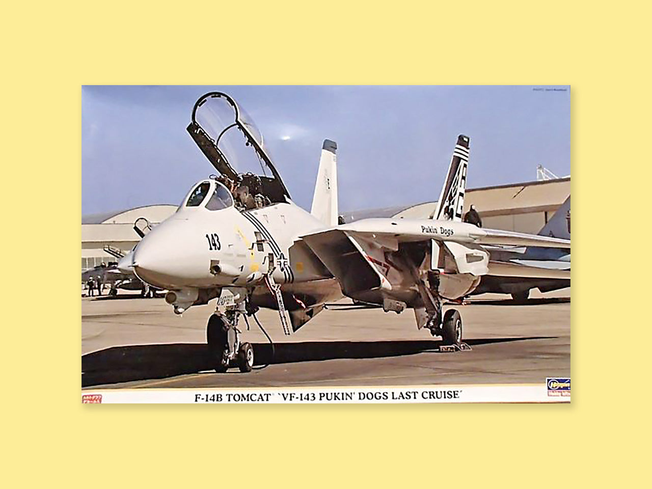 Grumman F-14B "Tomcat"