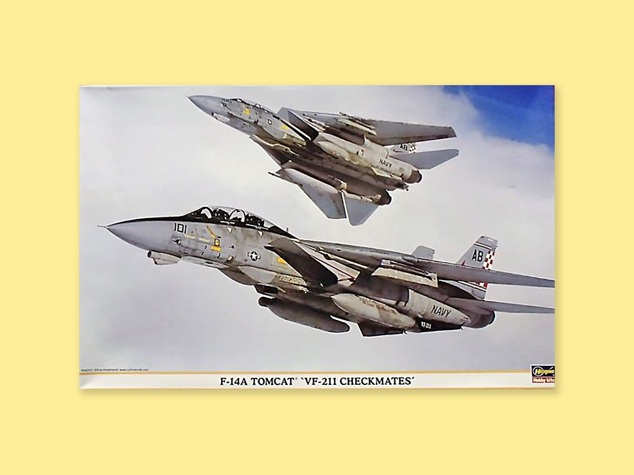 Grumman F-14A "Tomcat"