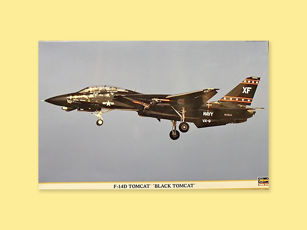 Grumman F-14D "Tomcat"