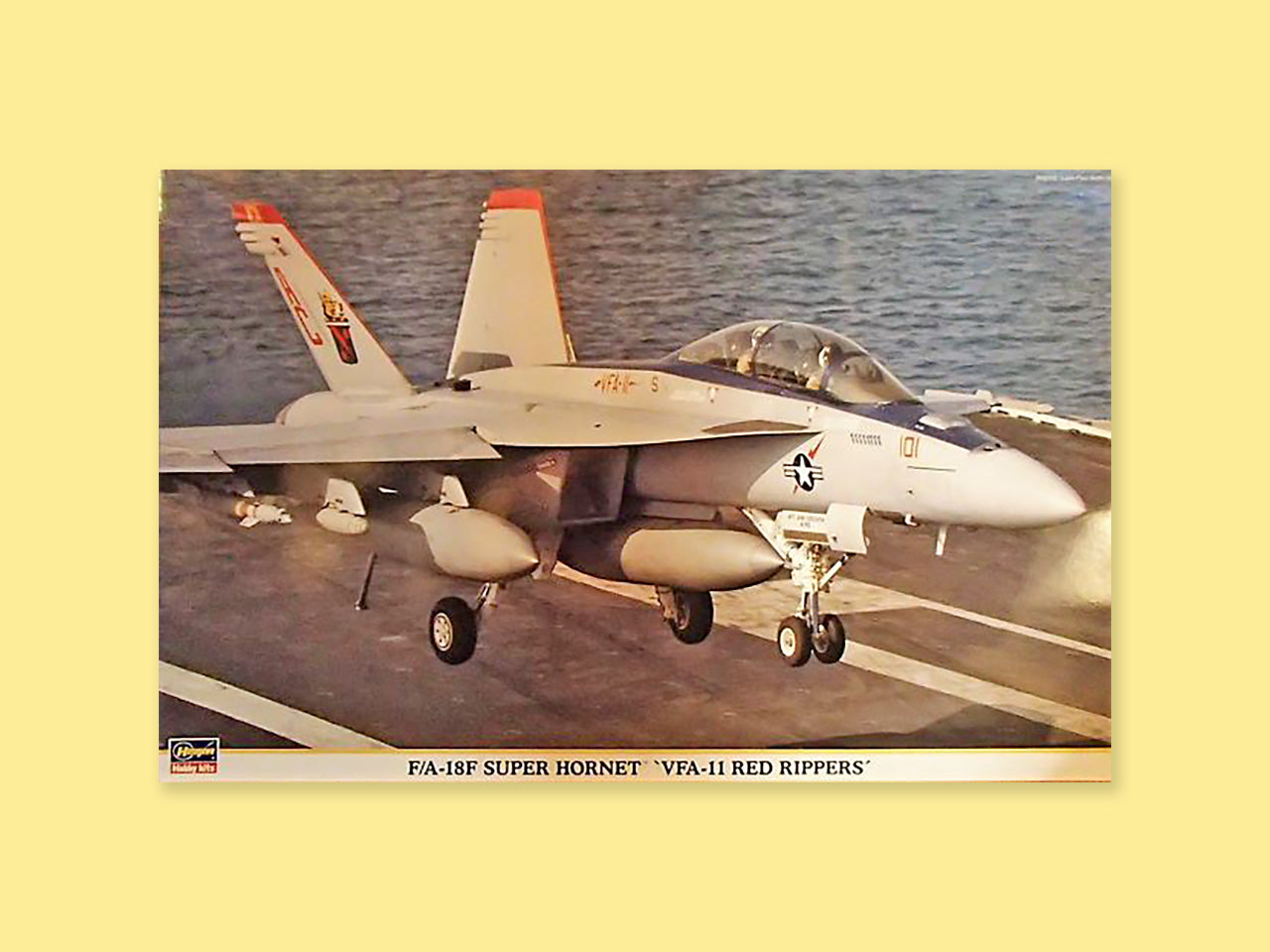 McDD F/A-18F "Hornet"