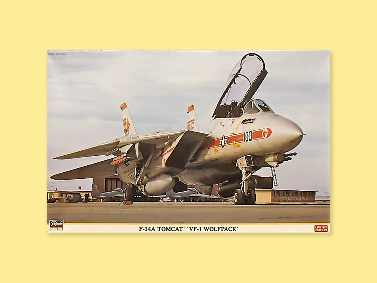 Grumman F-14A "Tomcat"