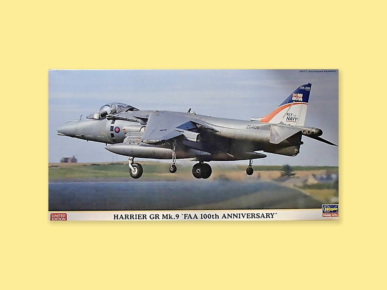 Hawker Siddeley "Harrier GR Mk.9"