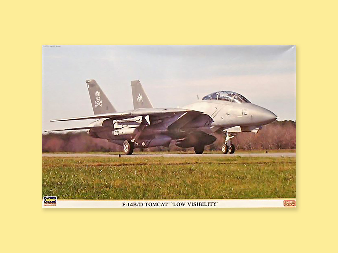 Grumman F-14B/D "Tomcat"