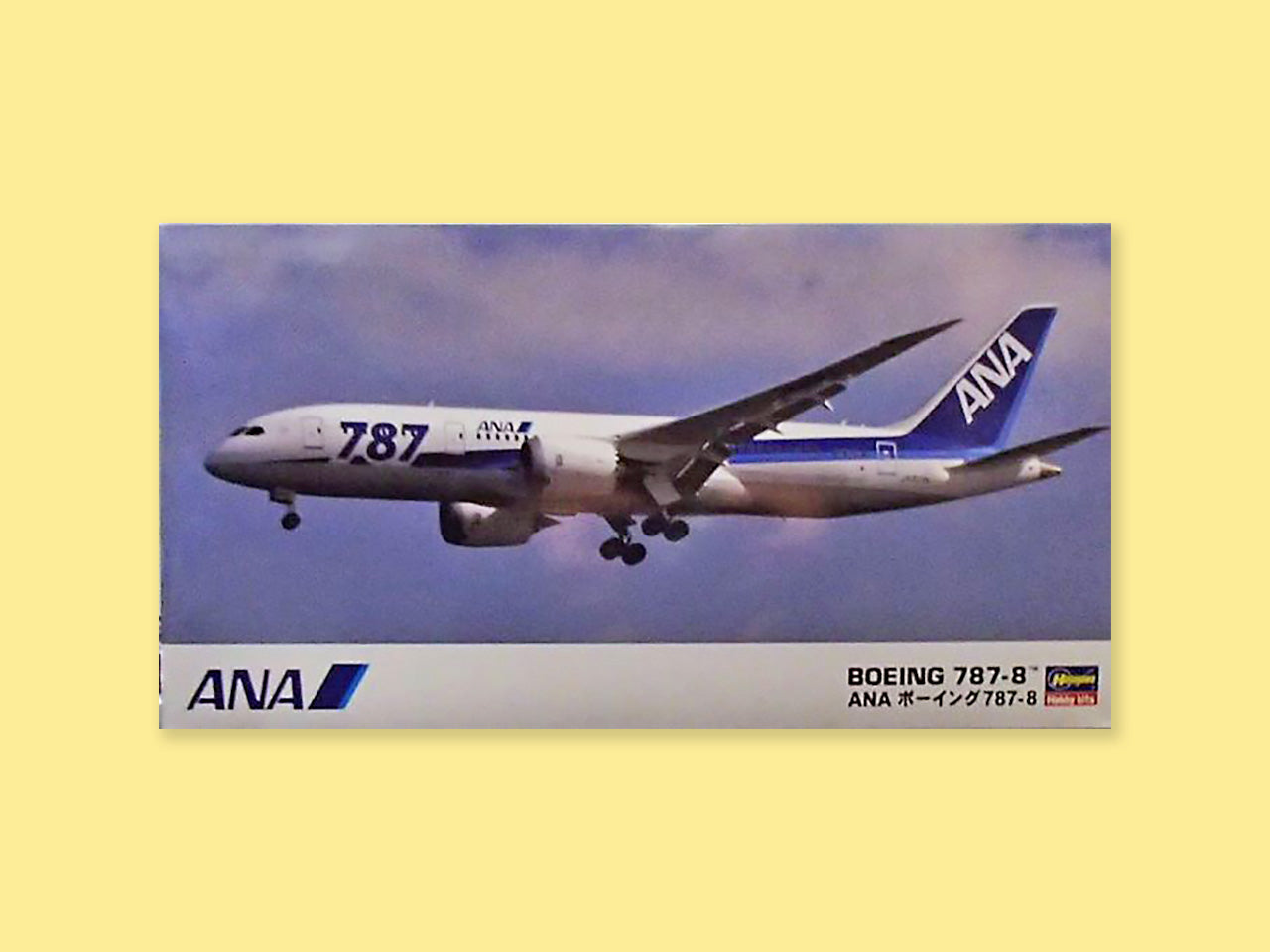 Boeing B 787-800 "ANA"