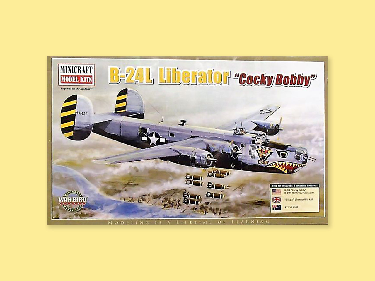 Consolidated B-24 L