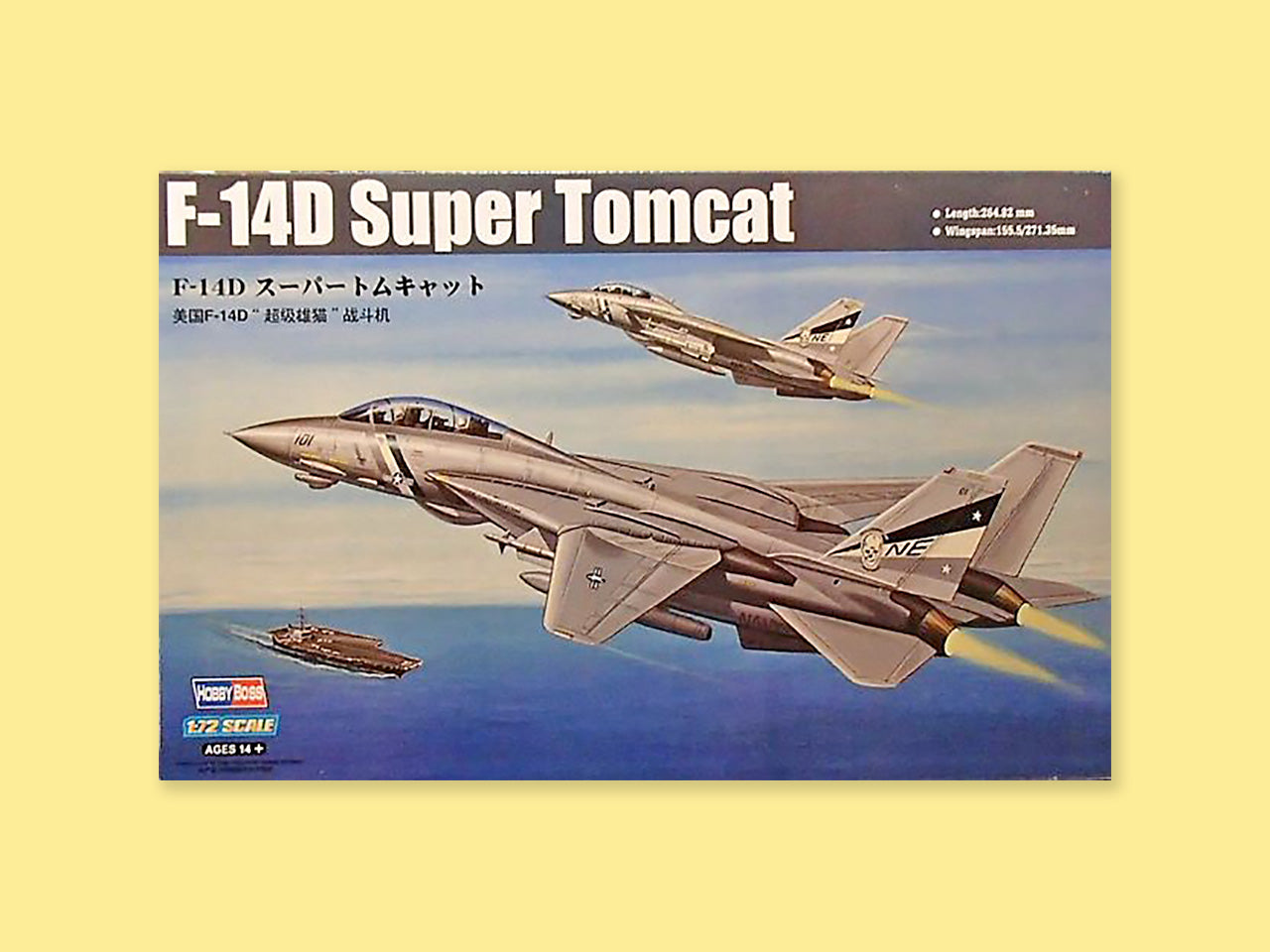 Grumman F-14D "Tomcat"
