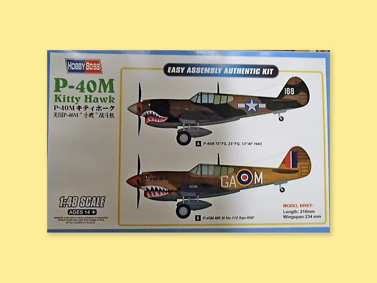 Curtiss-Wright P-40M "Kittyhawk"